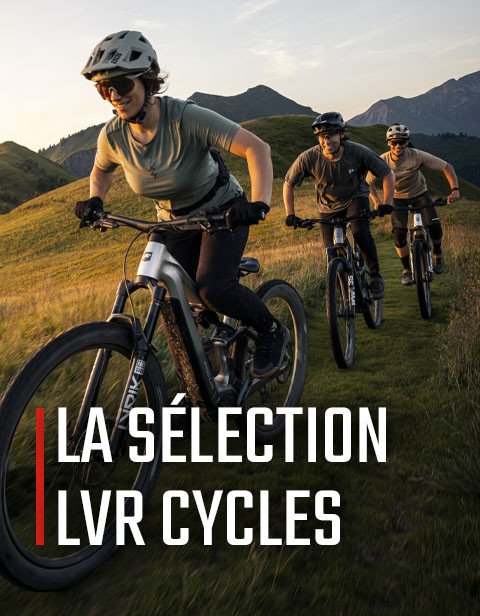 ae02db1488971bbea0c15b8bc2fa45b4a99679eb_8.SELECTION-LVR-FR